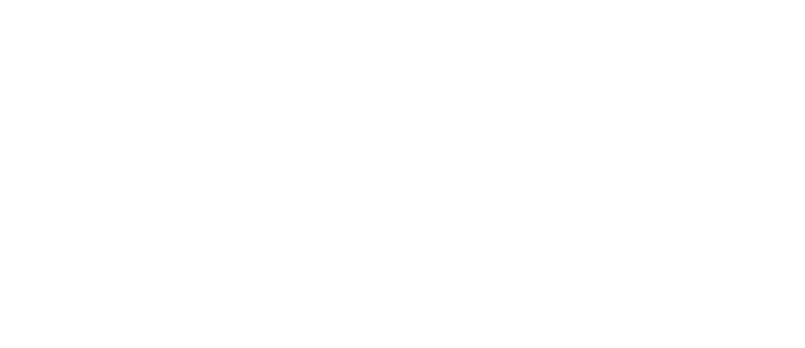 IEEE Standards